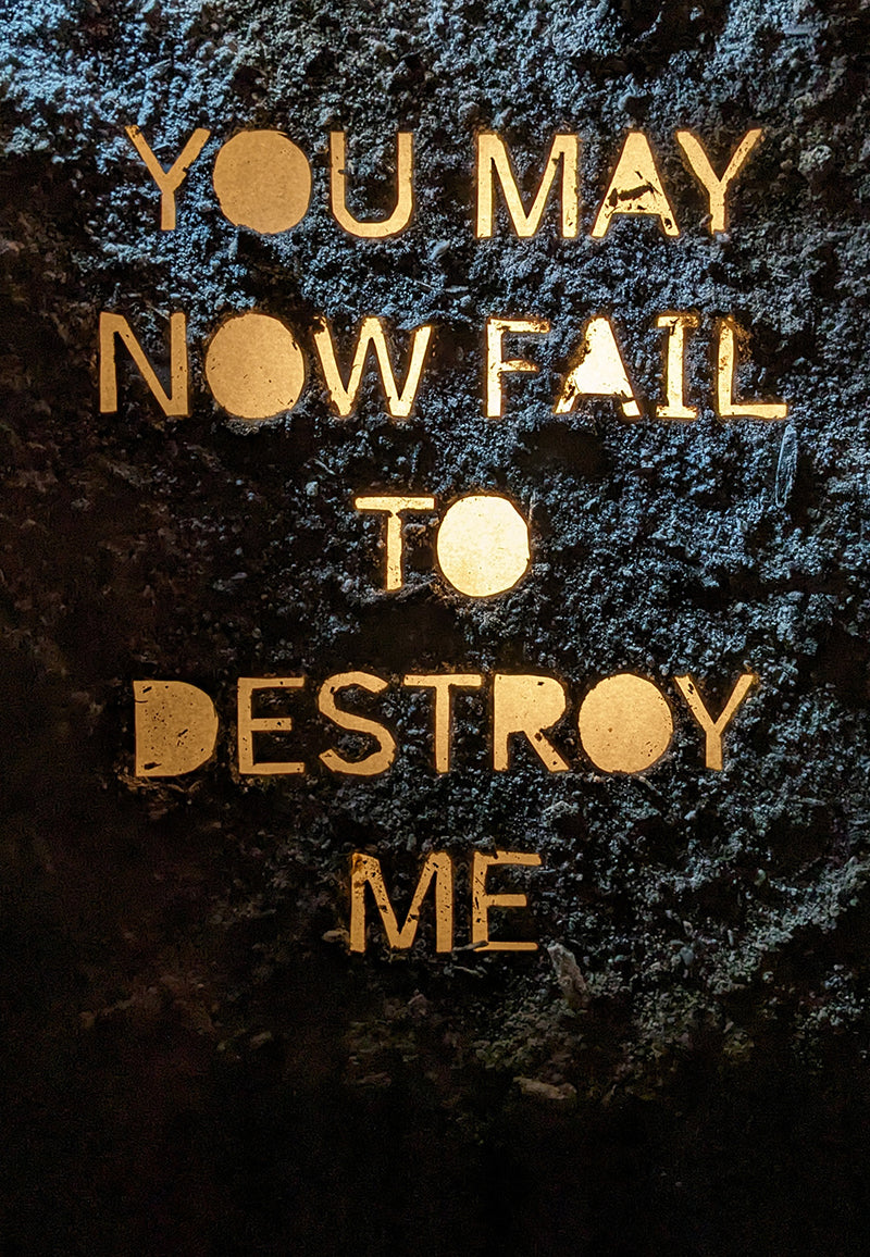 YOU MAY NOW FAIL TO DESTROY ME (pdf)